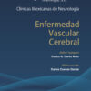 Enfermedad vascular cerebral - Imagen 2